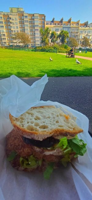  at Plant the Seed in Hastings