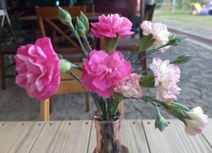 Table decorations at Tara Indian Food in Tepoztlan
