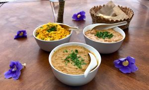 Chickpea Curry, mixed vegetables Curry, basmati rice and Naan (Indian flatbread with garlic and cilantro) at Tara Indian Food in Tepoztlan