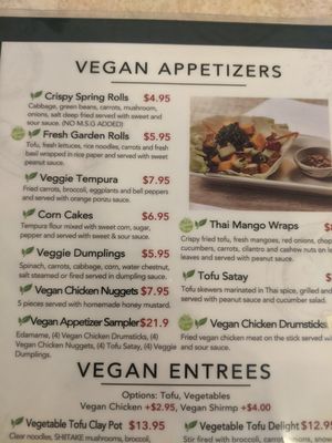 Vegan Appetizers at My Thai & Vegan in Irving
