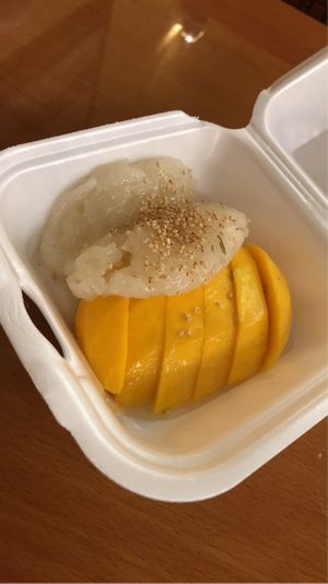 mango sticky rice  at Napa Thai Cuisine in Lexington