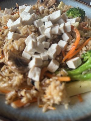   at Dokyo Dauntaun in Corpus Christi