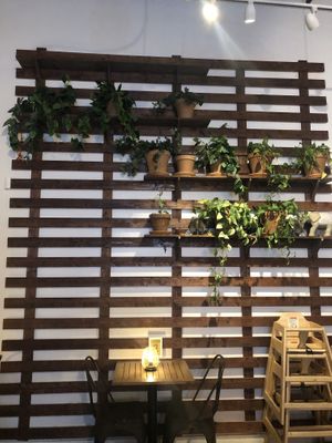 Interior   at Holi Vegan Kitchen in Hallandale Beach