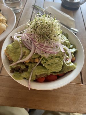 My meal—-Full SALAD of fresh and raw vegetables.  DELICIOUS!!!!  at Holi Vegan Kitchen in Hallandale Beach