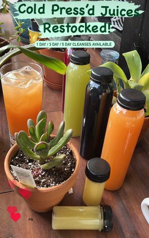 Cosmic Vibes, Green Goddess, Activated Charcoal Lemonade and Ginger Shots at Haus Cafe in Fair Lawn