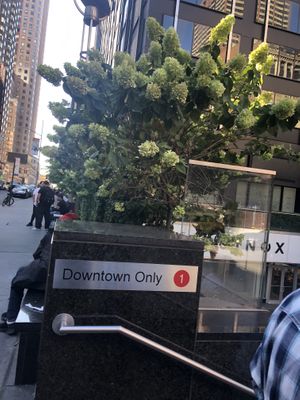 Exterior   at Din Tai Fung in Las Vegas