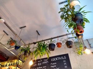 Plants 😍 at Itto in North London