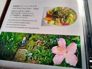 Local salad at Yama-no-chaya Rakusui in Nanjo