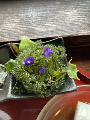 Gorgeous sea grape salad  at Yama-no-chaya Rakusui in Nanjo