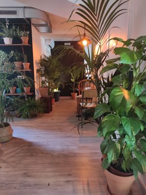 Local at Bar Botánico - La Suegra del Jardinero in Barcelona