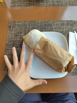 1 Hand kann Basketball problemlos von oben vom Boden heben, so zum Vergleich ;) at Vegano in Wohlen