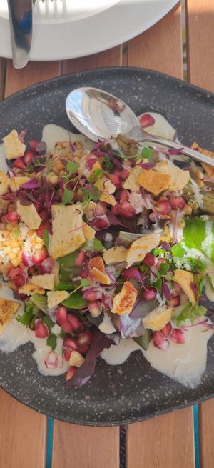 Roasted aubergine with bulgur and tahini sauce at Isola in Ayia Napa