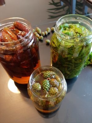 ♡ at MAURER For Life in Brasov