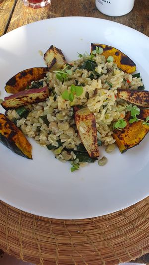 Vegan main. A blend of various grains with grilled sweet potatoes   at Aprazivel in Rio De Janeiro