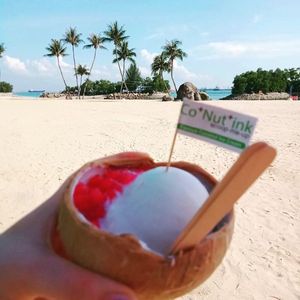  at Co+Nut+ink - Siloso Point Station in Central Singapore