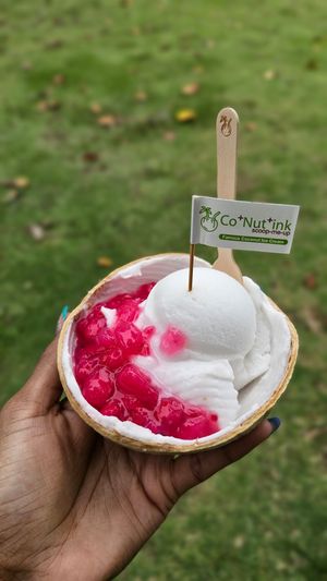 Red Ruby chestnut coconut at Co+Nut+ink - Siloso Point Station in Central Singapore