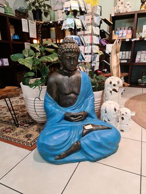 Shop: Buddha and books at Nurcha Kawana in Birtinya