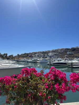   at Marvida in San Carlos