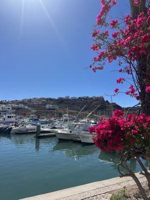   at Marvida in San Carlos