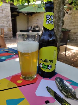 The Mint Beer!! at Can Baumes in Tavertet