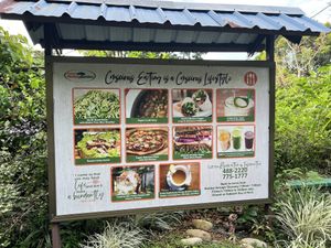   at Katey's Healing Garden in Palau