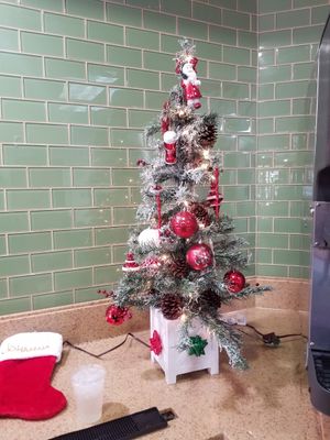 Restaurant at Side Chicks in San Antonio