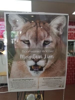  at Side Chicks in San Antonio