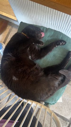   at Rubik's in Thessaloniki