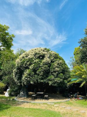 One of the most beautiful places to have a meal. at An Nhien Garden in Hue