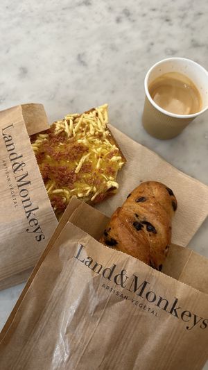 Croque monsieur & chocolate chip pastry (forgot the name)  at Land & Monkeys - Amsterdam in Paris