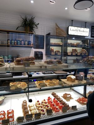 Counter  at Land & Monkeys - Amsterdam in Paris