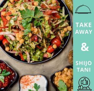 Middle east salad. at Falafel House in Tirana