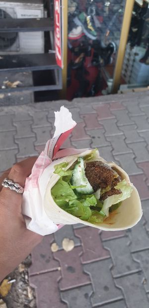  at Falafel House in Tirana