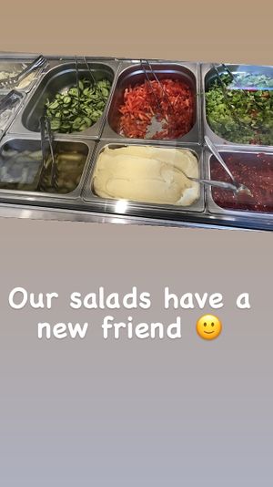   at Falafel House in Tirana