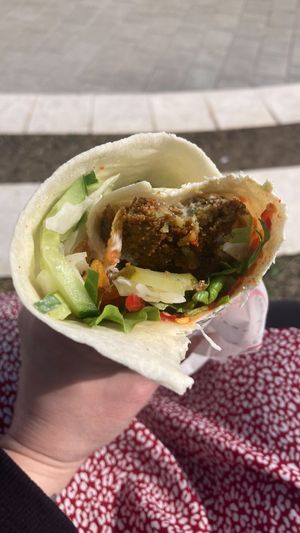   at Falafel House in Tirana