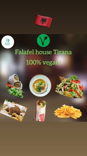   at Falafel House in Tirana