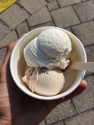 Coconut and hazelnut at Ice Ice Baby in Amsterdam