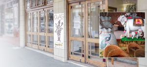 Ojas Ayurvedic, 528 King Street Newtown at Ojas Ayurvedic in Newtown