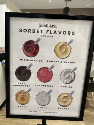 So many flavors   at Gelato & Co. in Naples