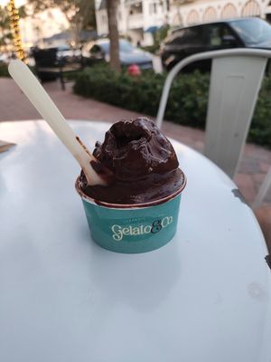 Vegan chocolate gelato was rich but TOO strongly flavored for me,, weird I know! at Gelato & Co. in Naples