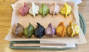   at Vegan Gyoza Yu Cafe in Tokyo