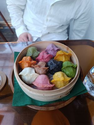 Steamed Gyoza at Vegan Gyoza Yu Cafe in Tokyo