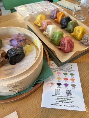fried gyozas  at Vegan Gyoza Yu Cafe in Tokyo