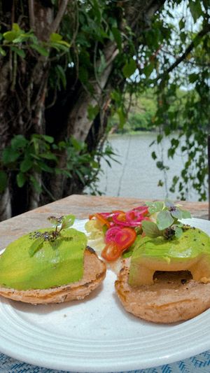 Avo-Bagel  at El Pital in Ometepe