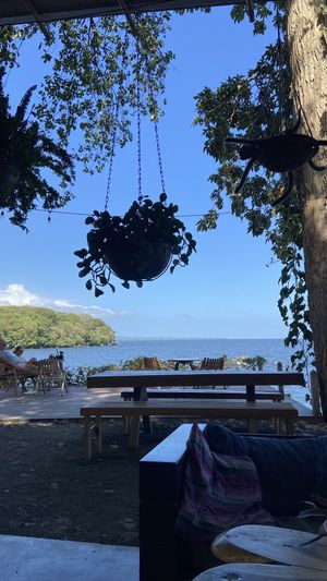   at El Pital in Ometepe