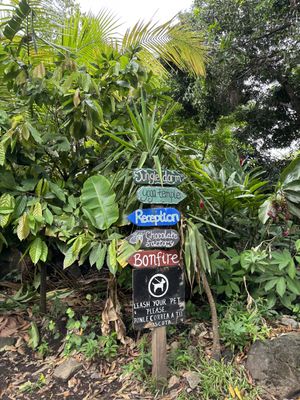   at El Pital in Ometepe