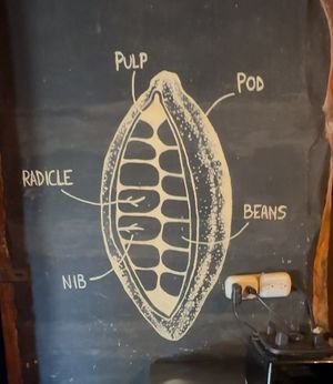 Cacao diagram   at El Pital in Ometepe
