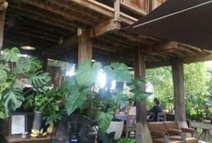  at Meena Rice Based Cuisine in Chiang Mai