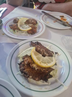  at Jaipur in Albufeira