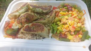 Vegan gyozas bento at Lunchbox Sushi in Castlemaine